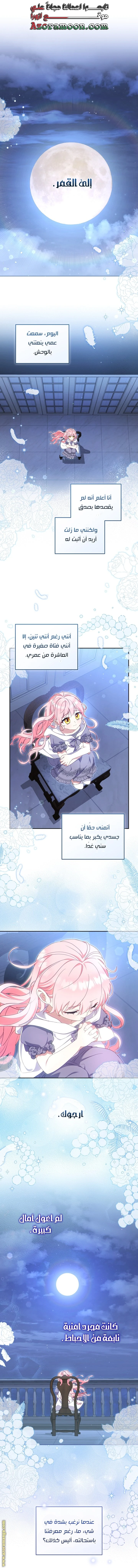 الصفحة 28