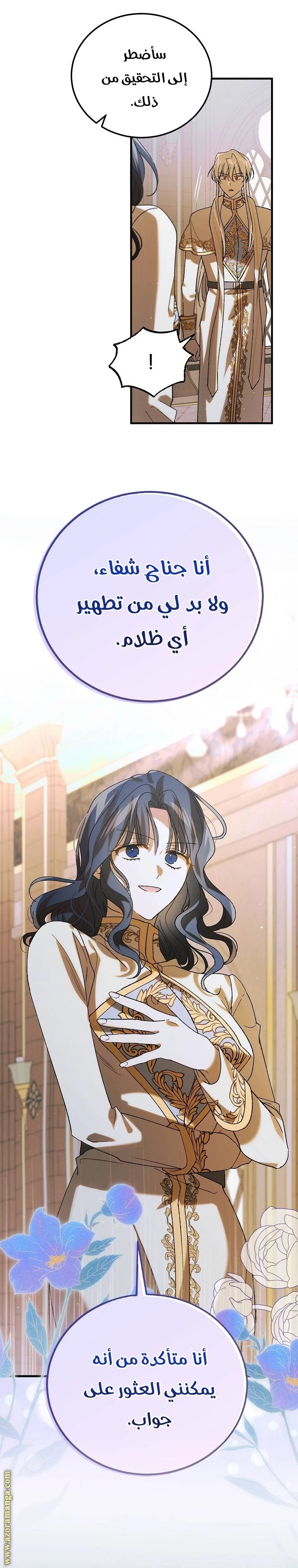 الصفحة 13
