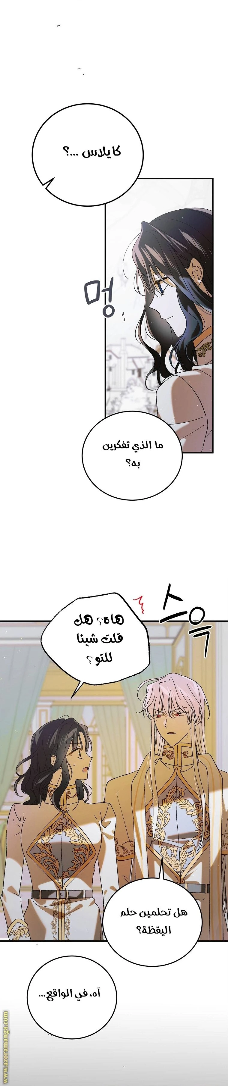 الصفحة 23