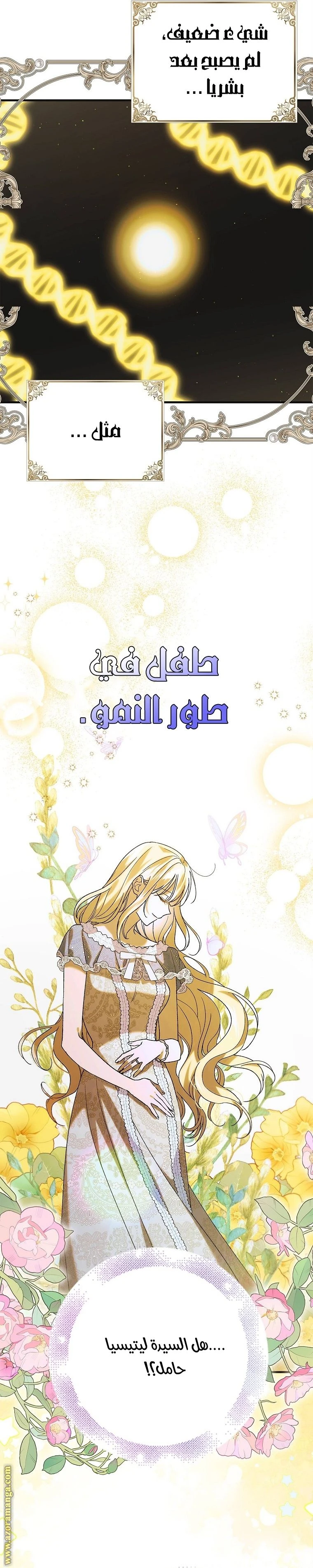 الصفحة 25