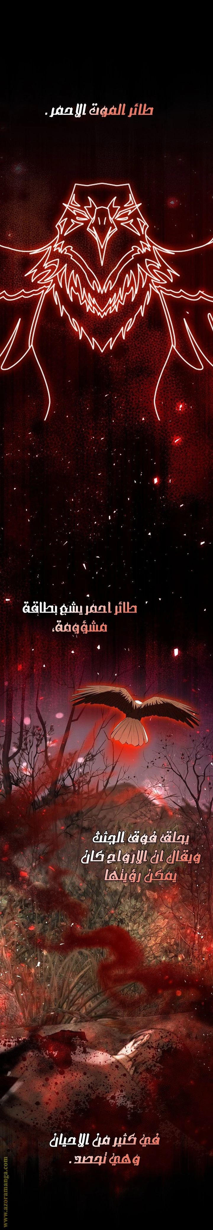 الصفحة 13