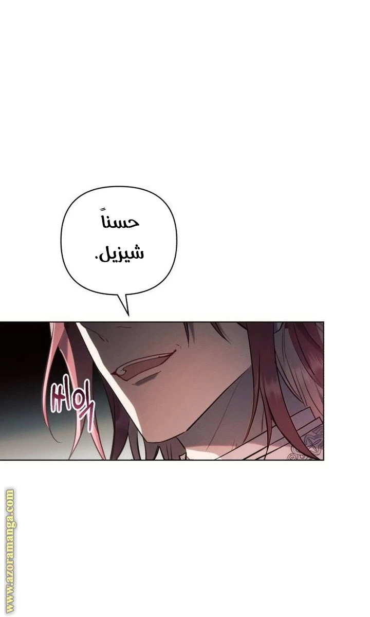 الصفحة 51