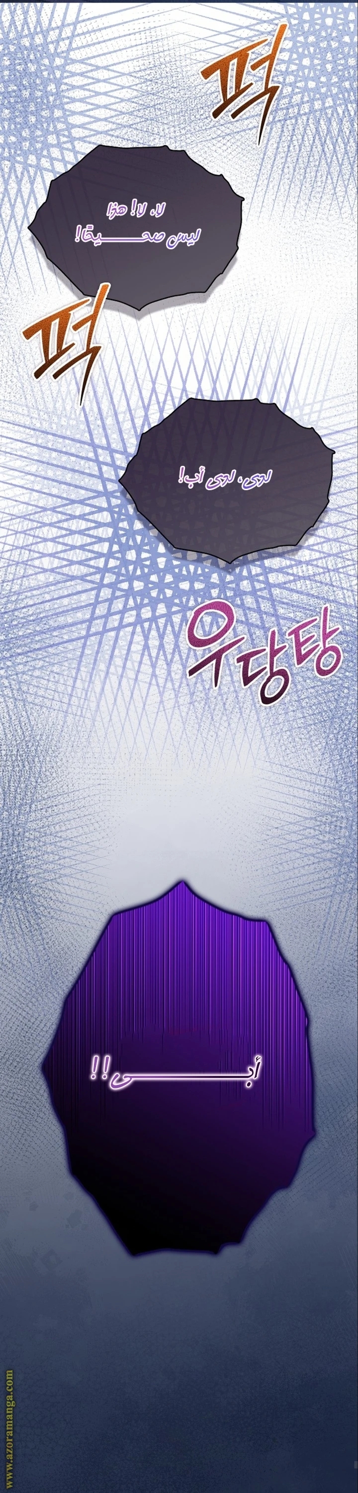 الصفحة 25