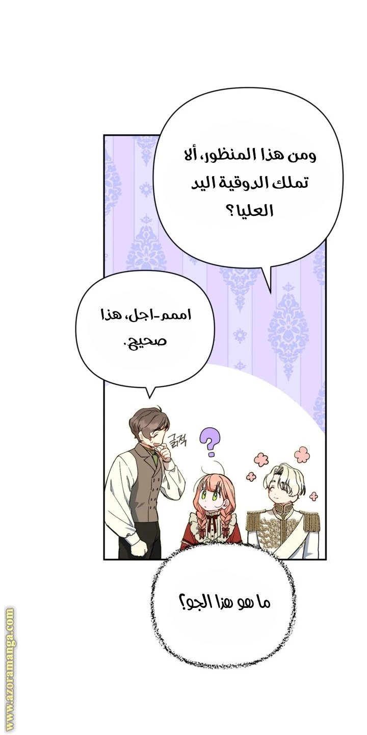 الصفحة 19