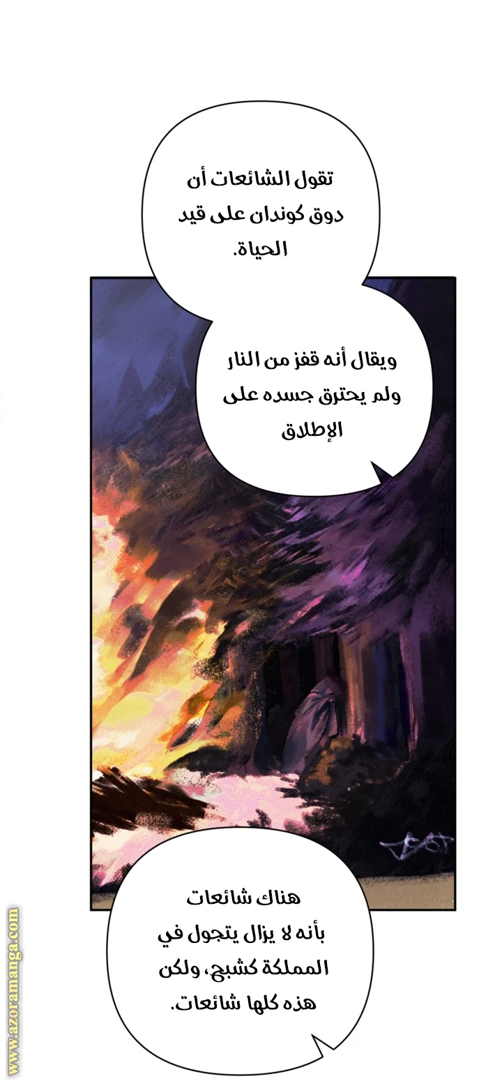الصفحة 31