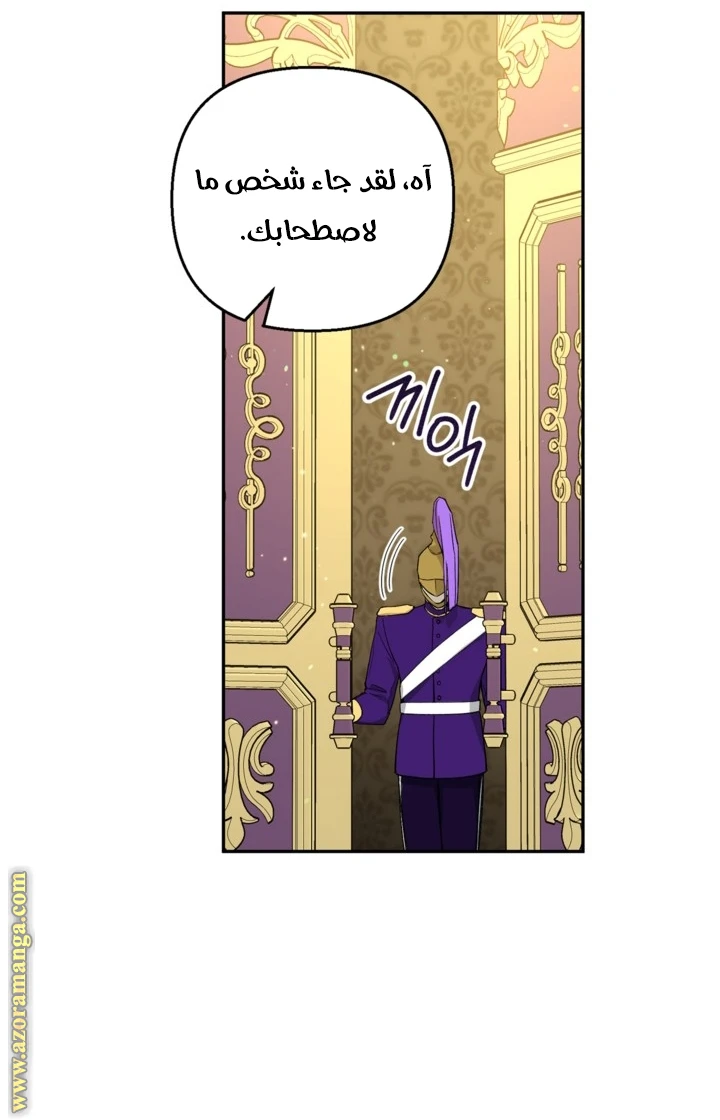 الصفحة 40