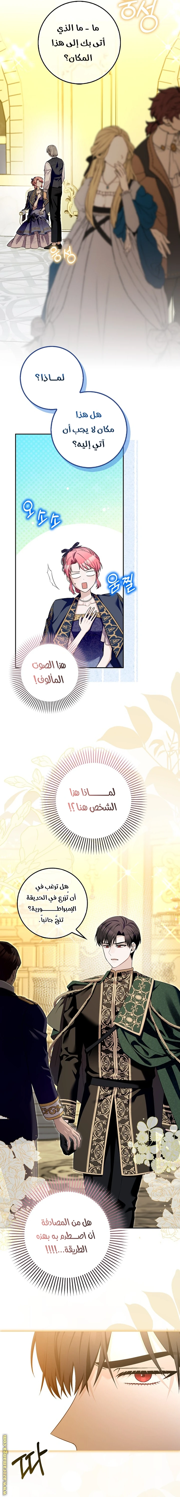 الصفحة 11