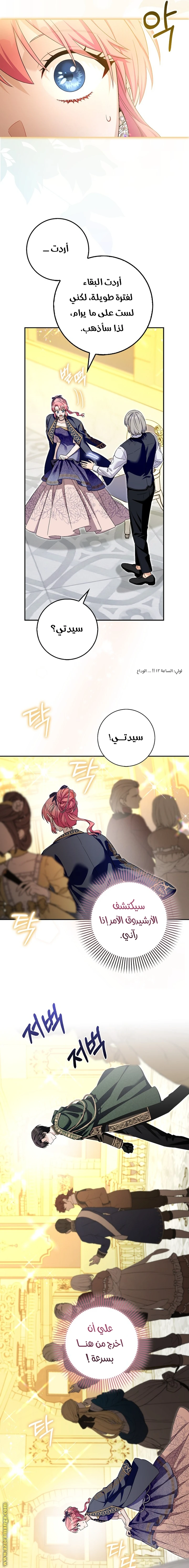 الصفحة 12