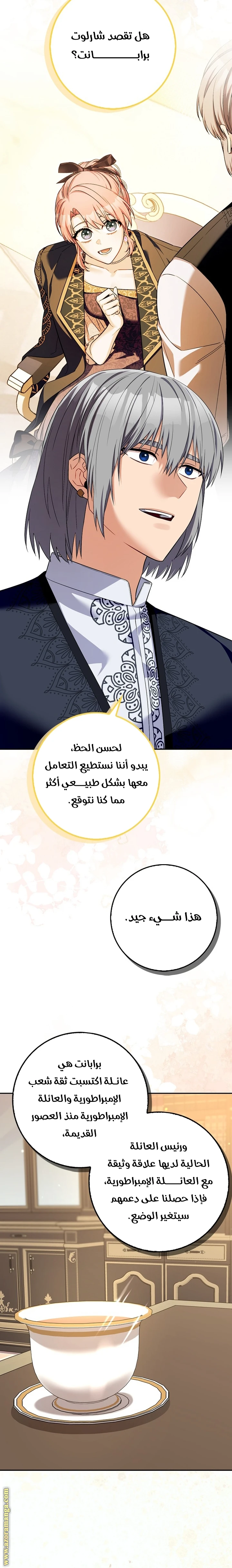 الصفحة 21