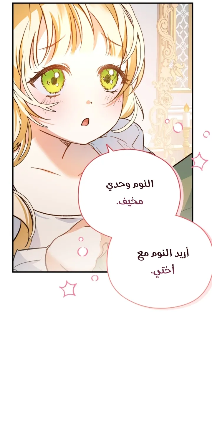الصفحة 21