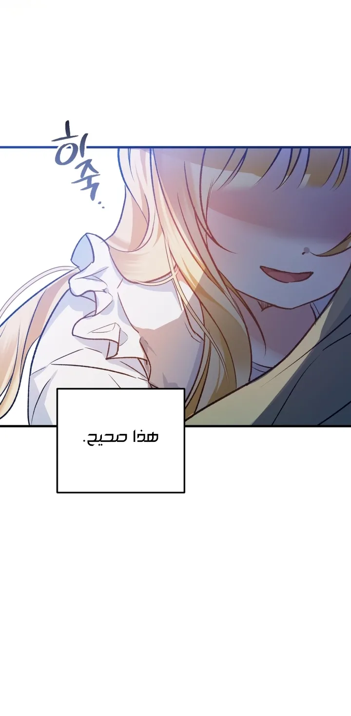 الصفحة 24