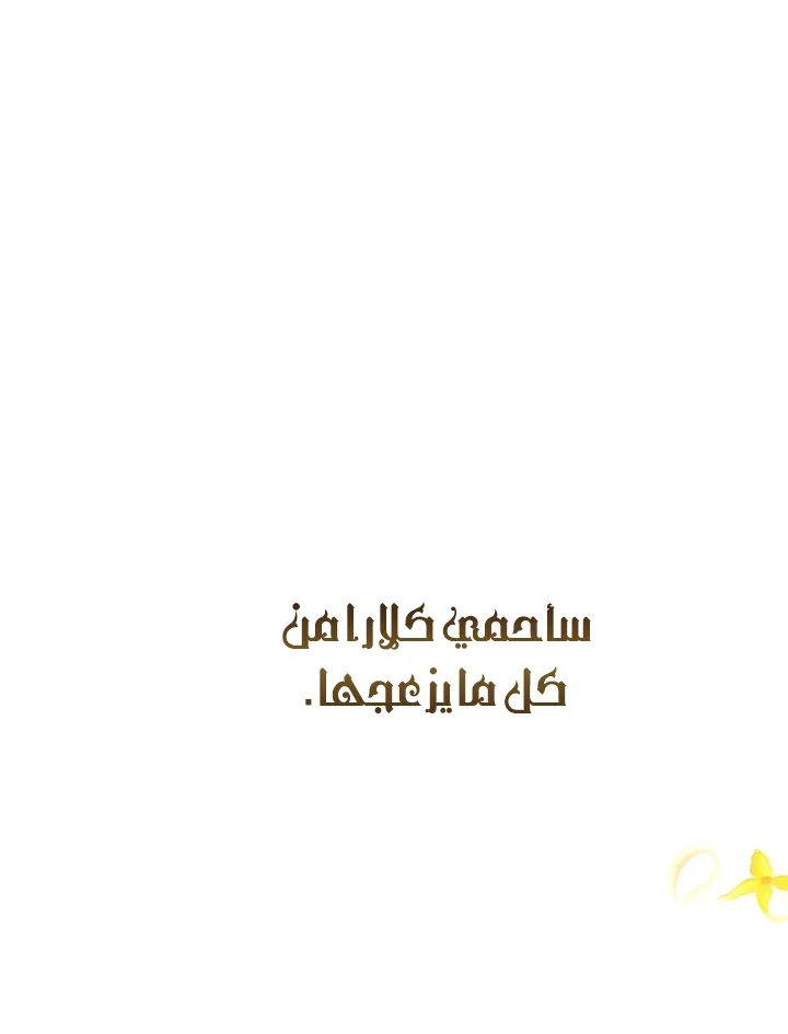الصفحة 40