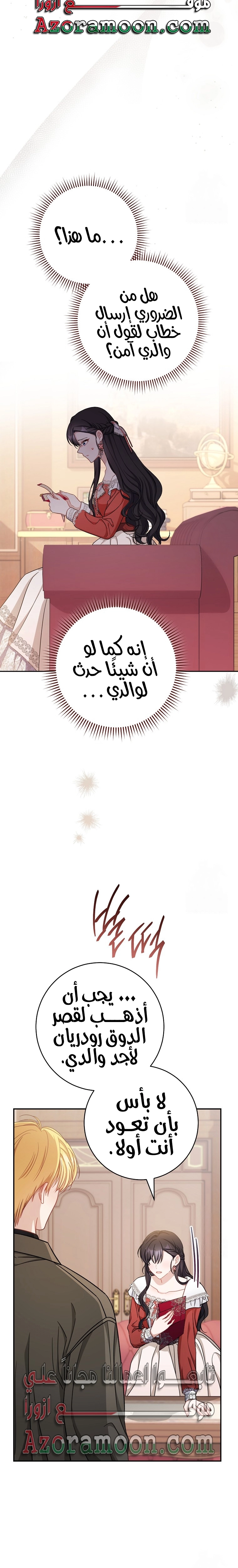 الصفحة 17