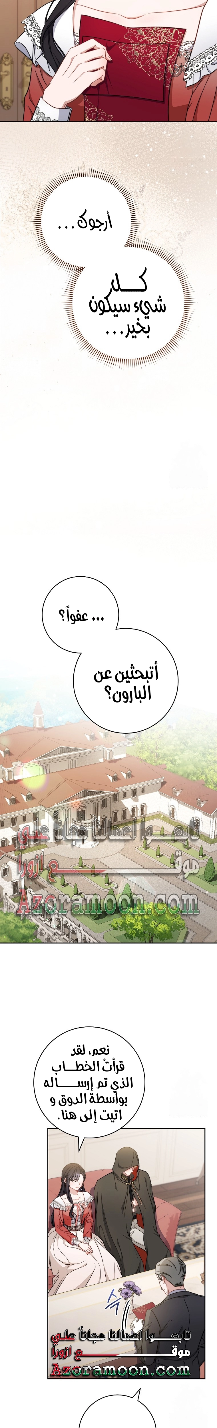 الصفحة 19