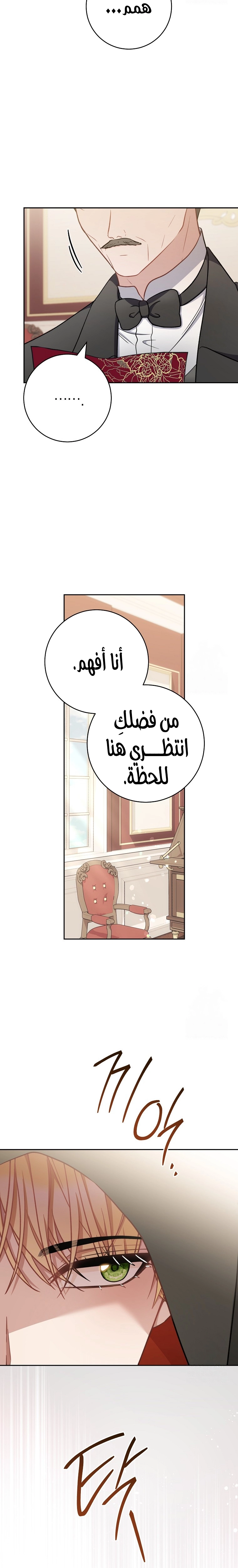 الصفحة 20