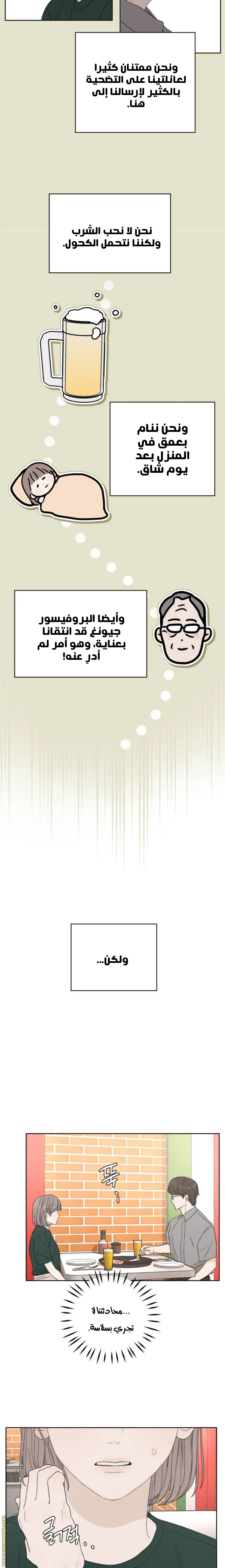 الصفحة 13