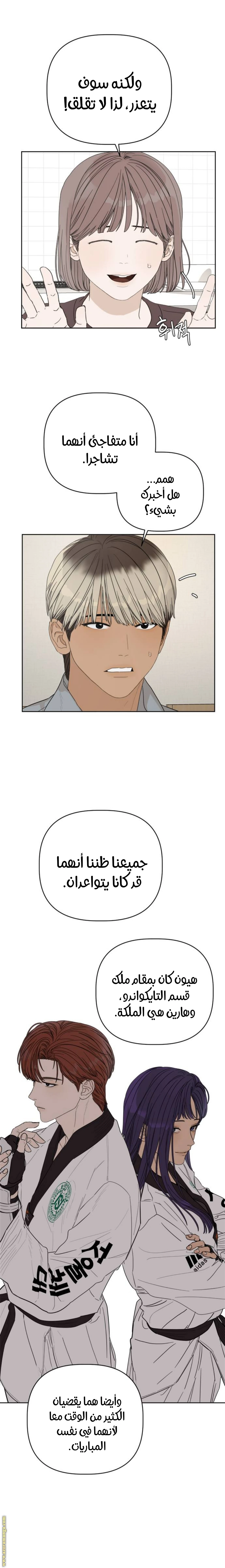 الصفحة 19