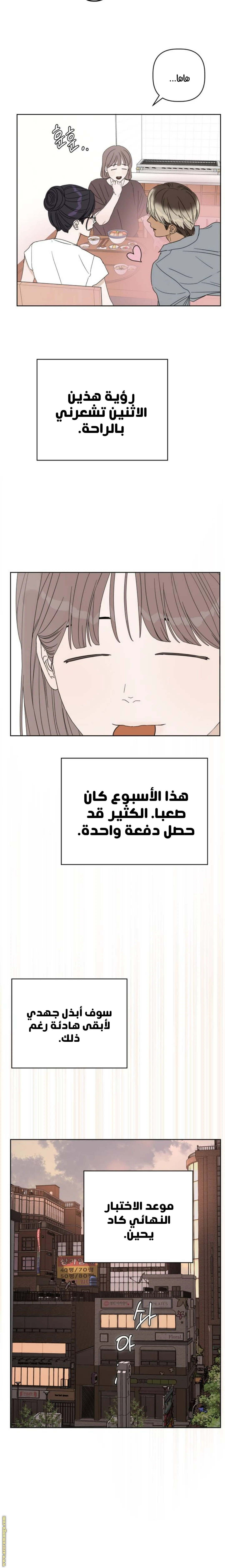 الصفحة 21