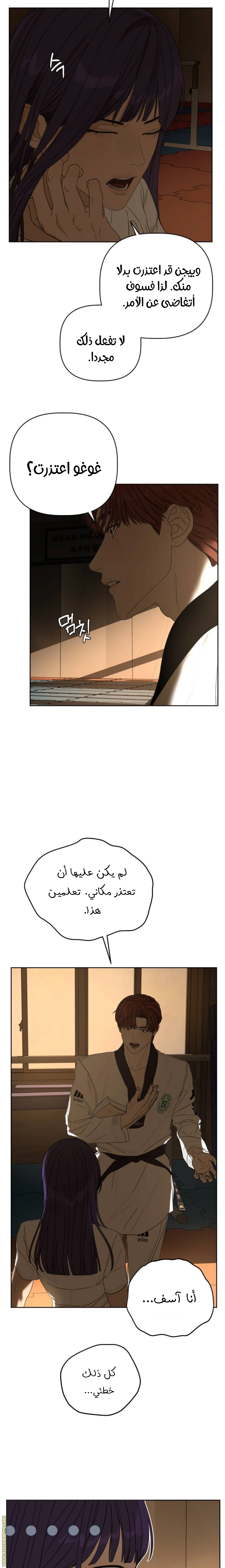 الصفحة 24