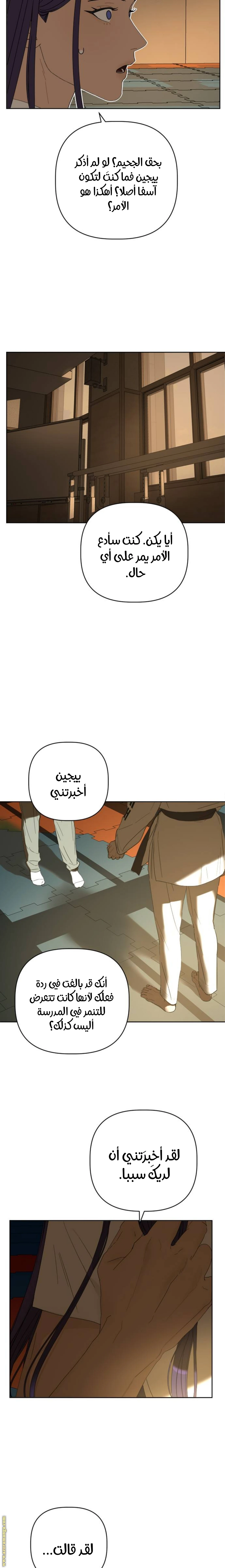 الصفحة 25