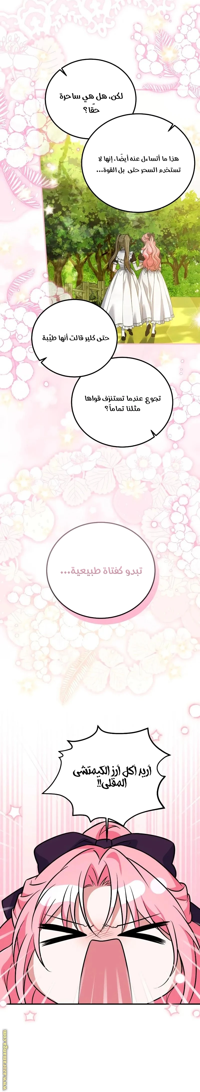 الصفحة 19