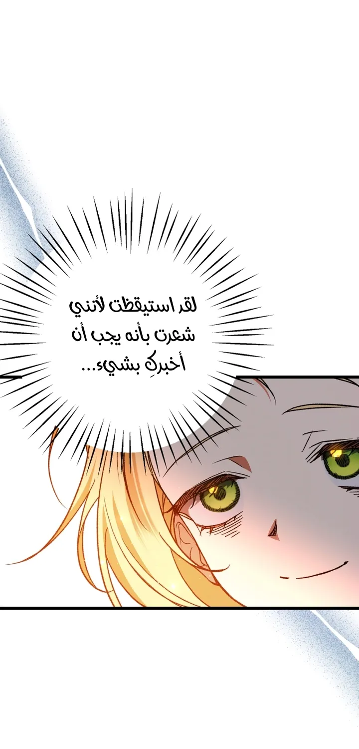 الصفحة 20