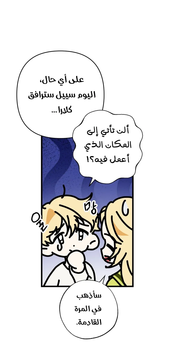 الصفحة 39