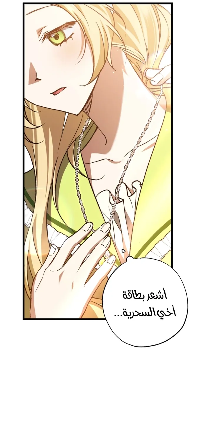 الصفحة 43