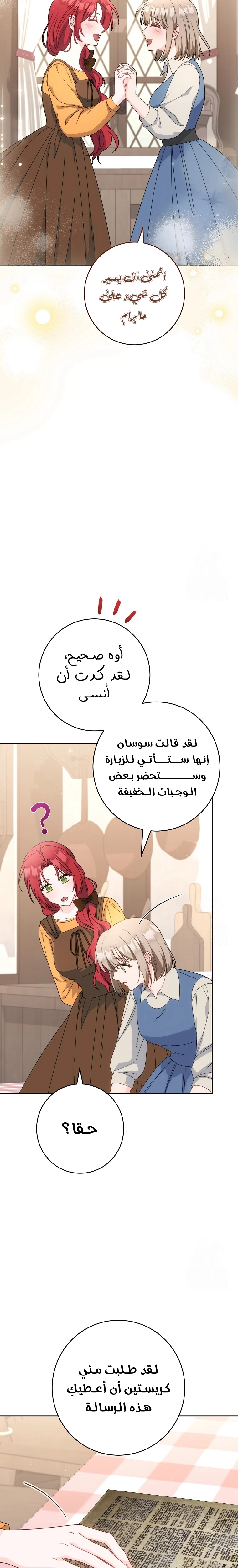 الصفحة 26