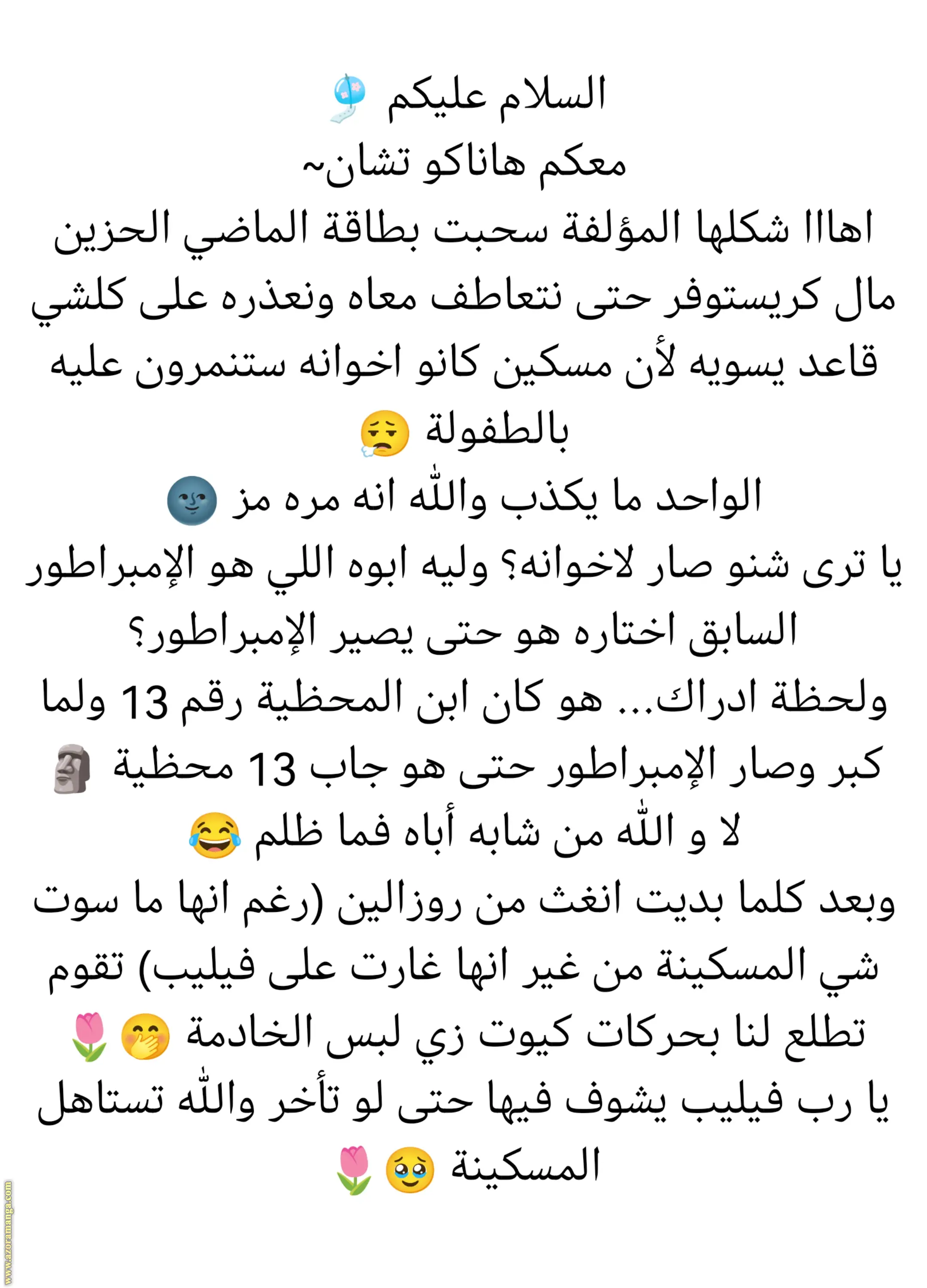 الصفحة 13