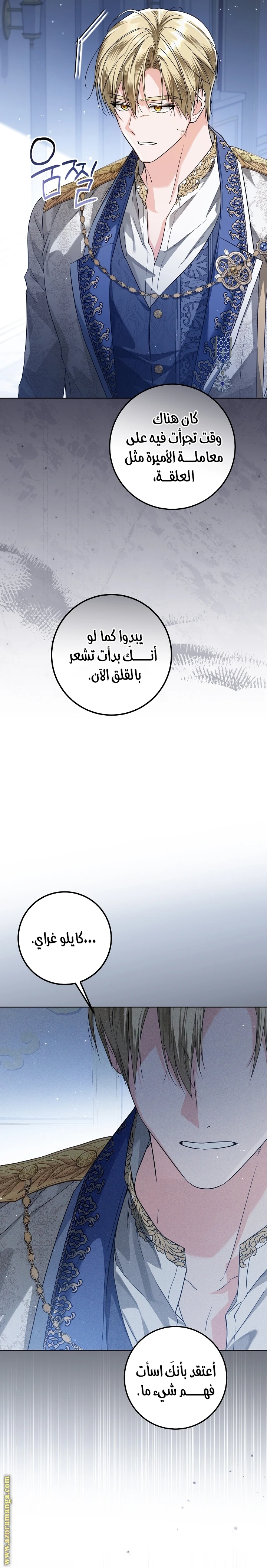 الصفحة 13