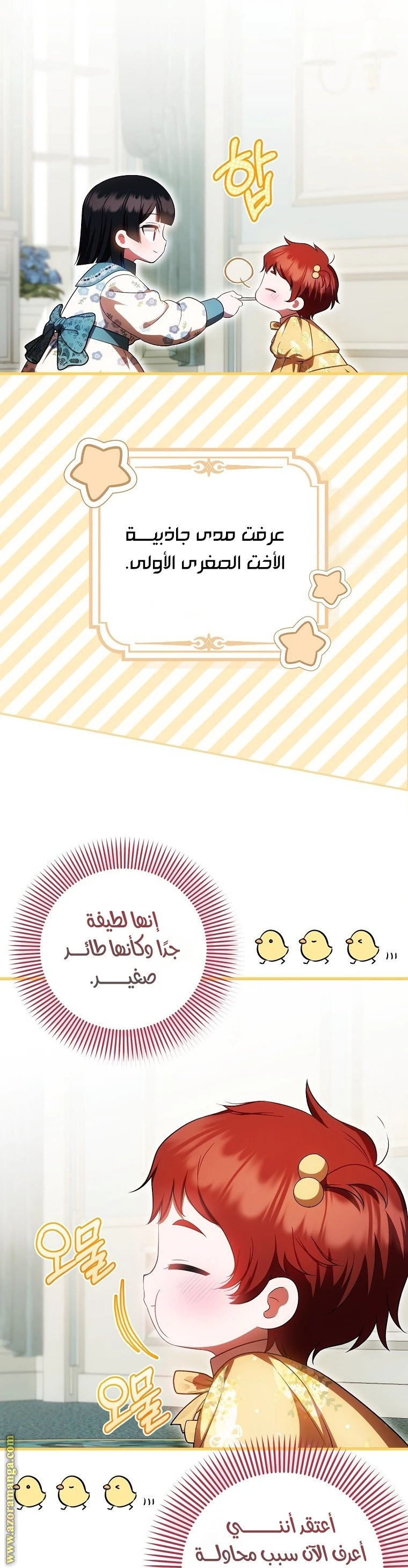 الصفحة 13