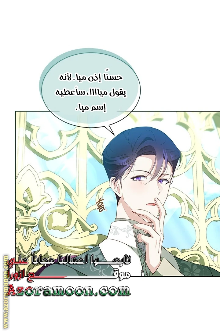 الصفحة 42