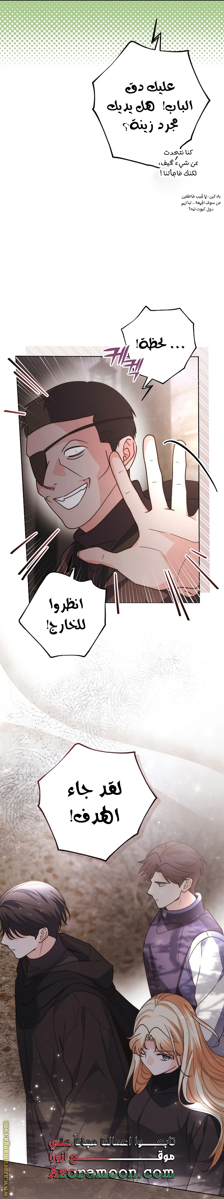 الصفحة 27