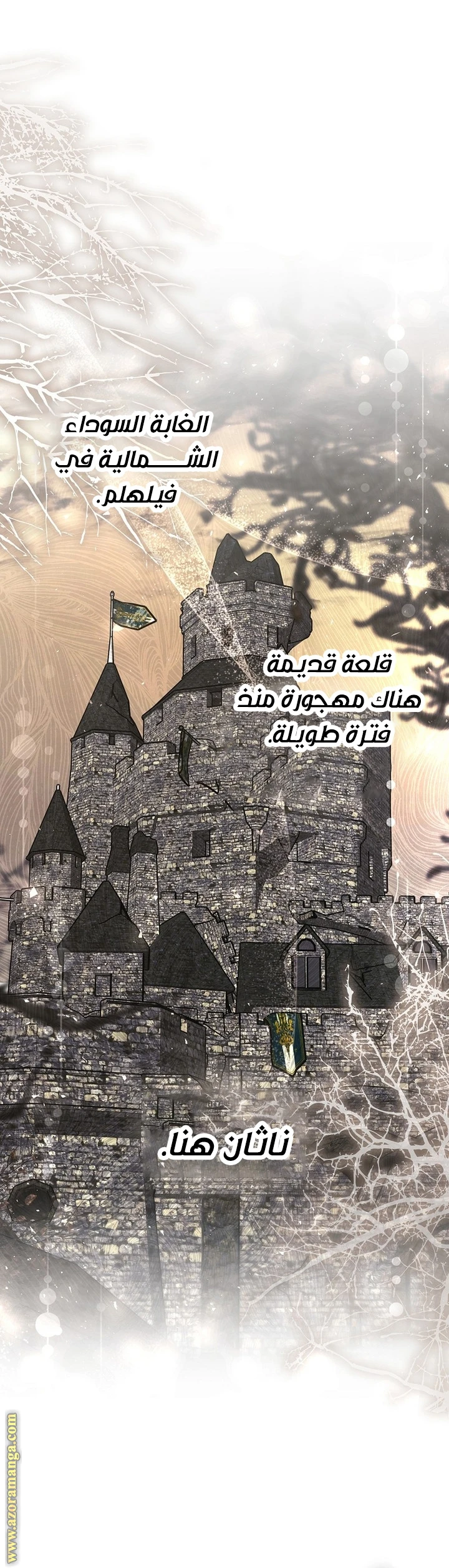 الصفحة 43