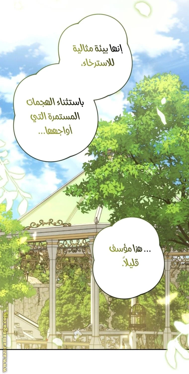 الصفحة 25