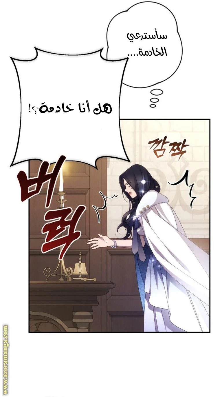 الصفحة 46