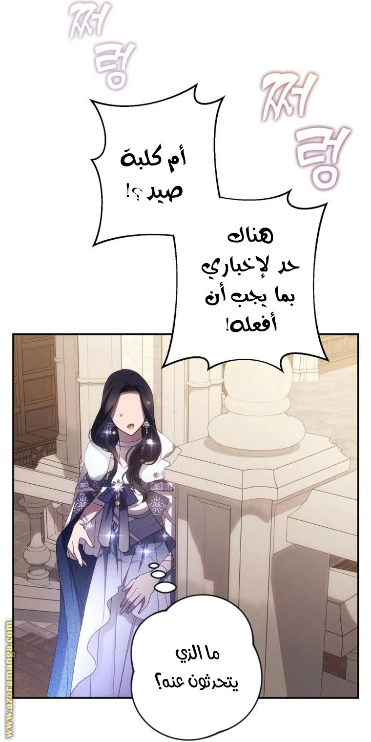 الصفحة 47