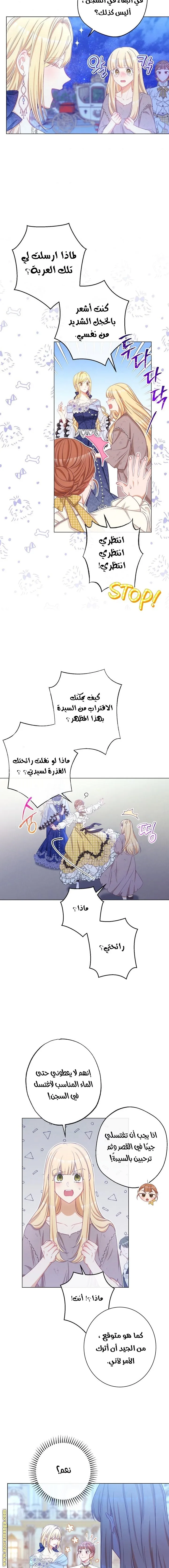 الصفحة 8