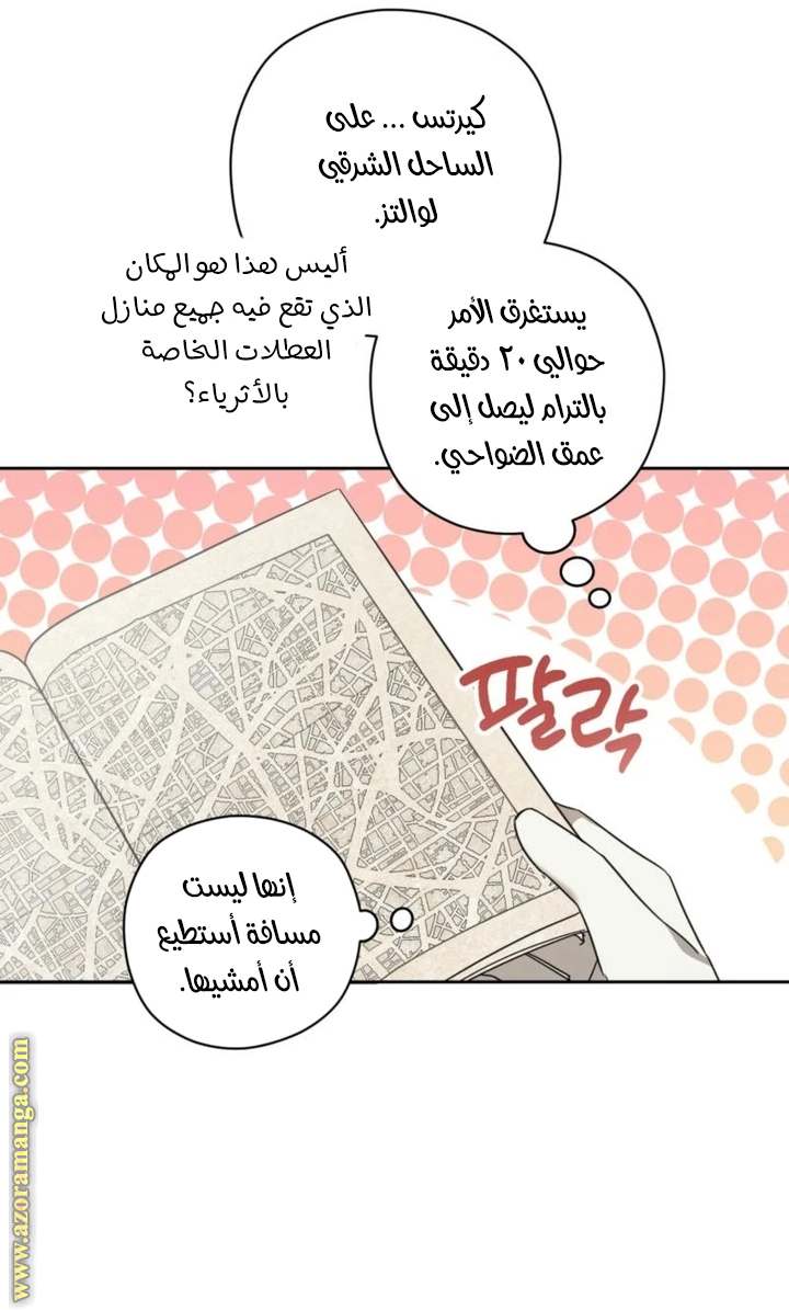 الصفحة 17
