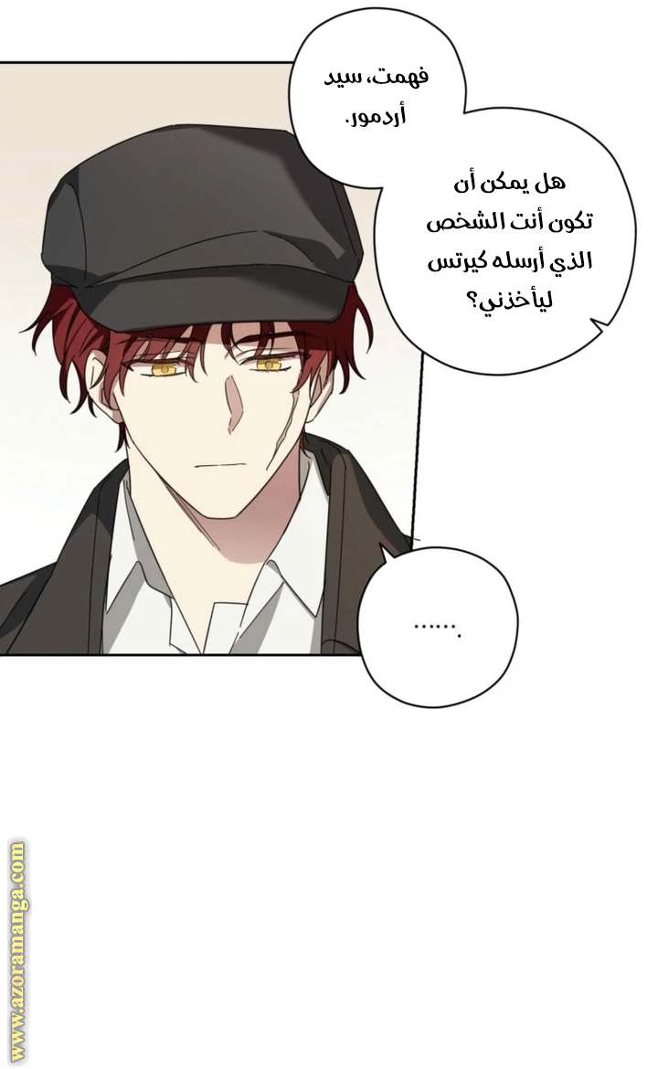 الصفحة 41