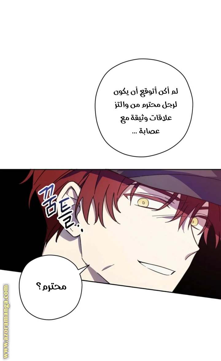 الصفحة 54