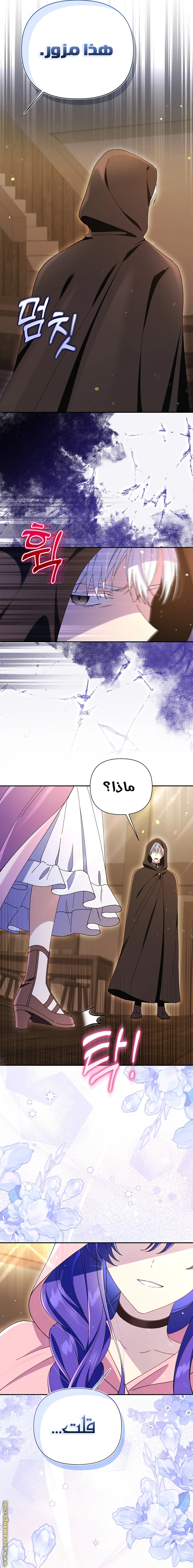 الصفحة 16
