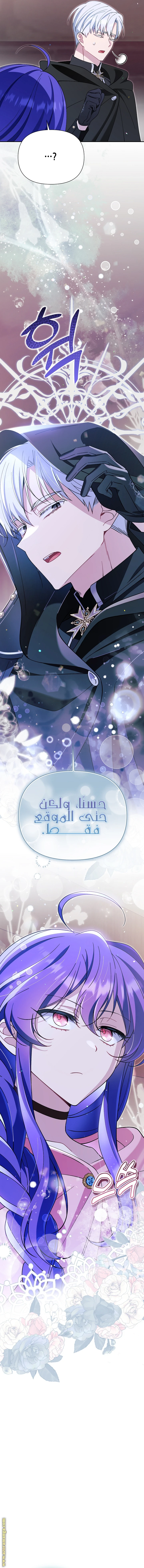 الصفحة 23