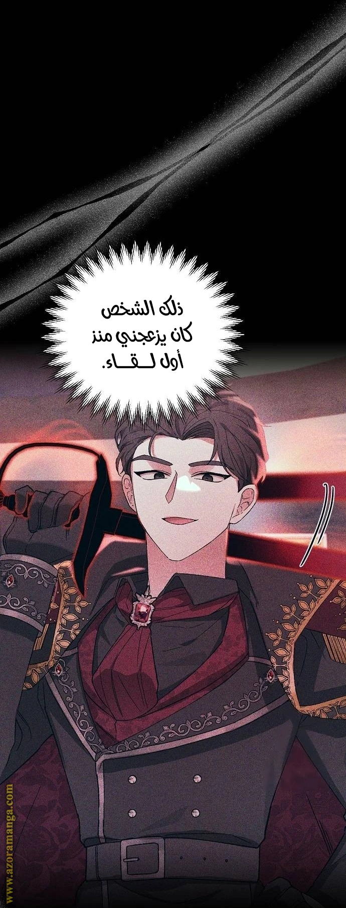 الصفحة 27
