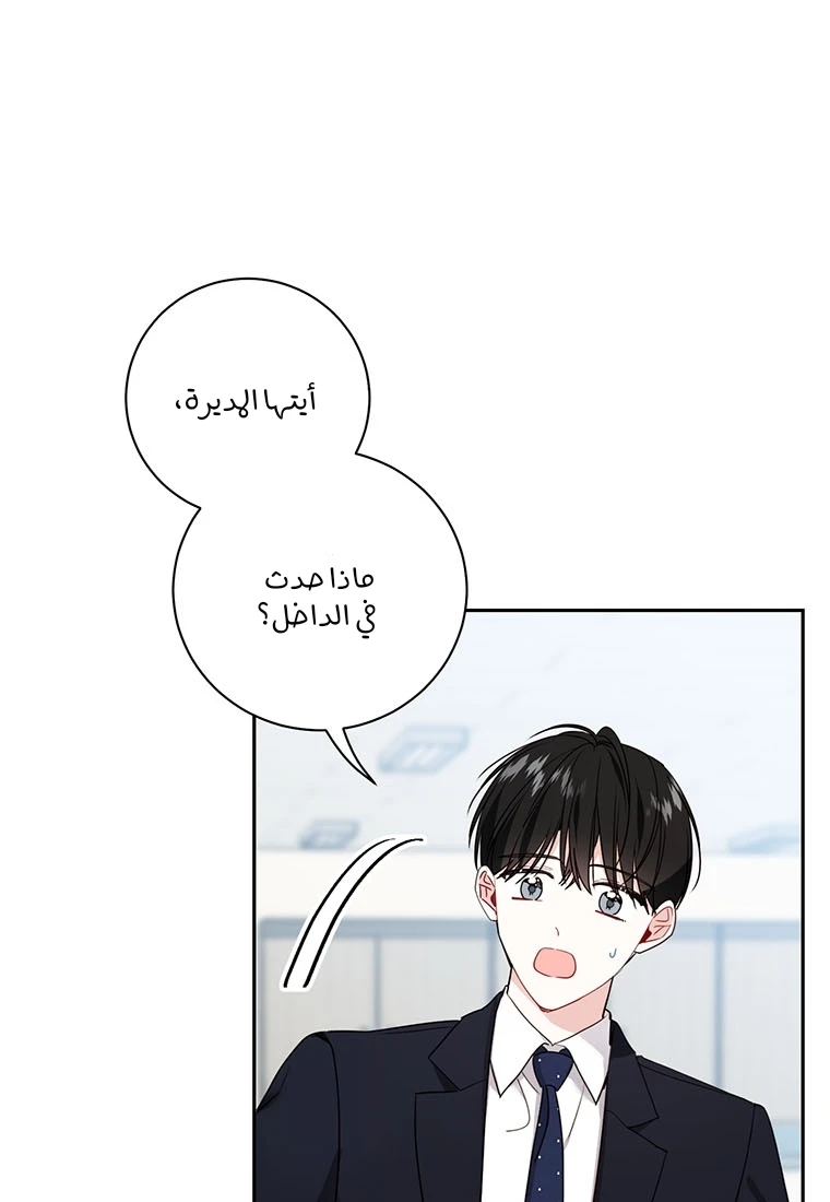 الصفحة 17
