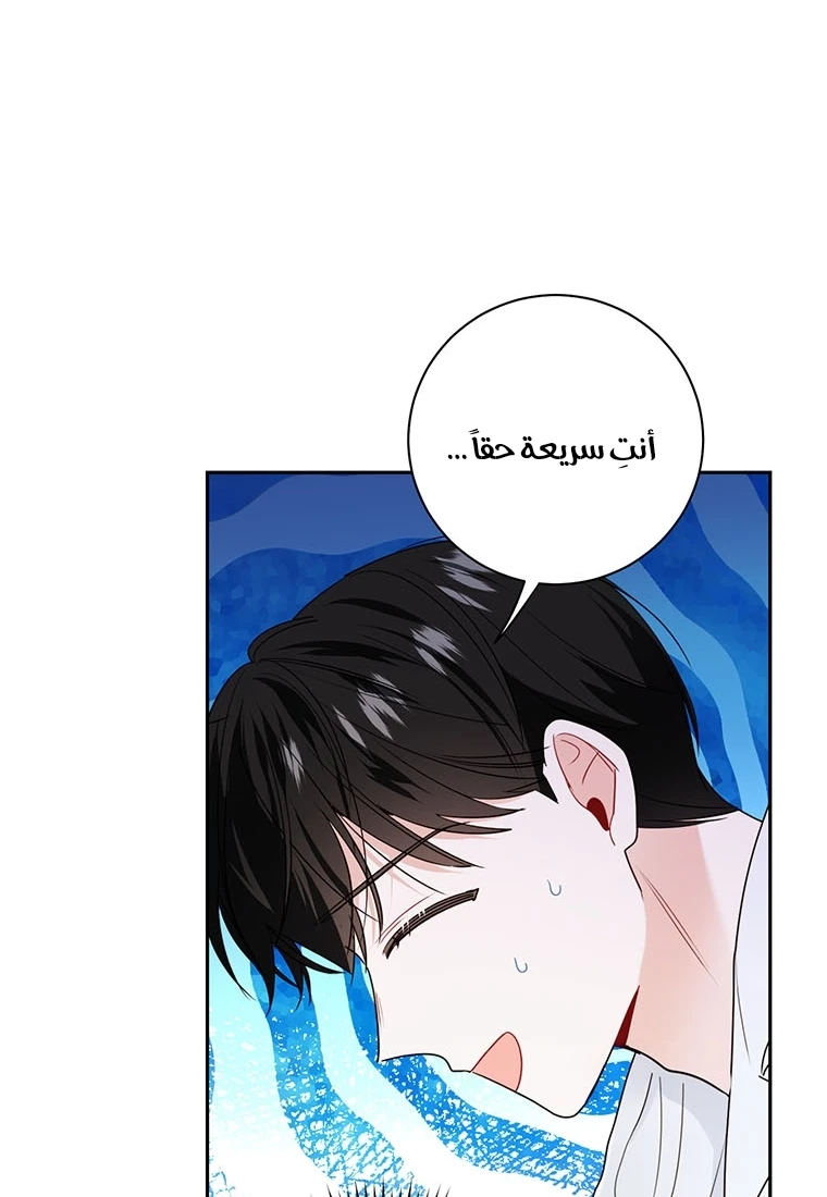 الصفحة 36