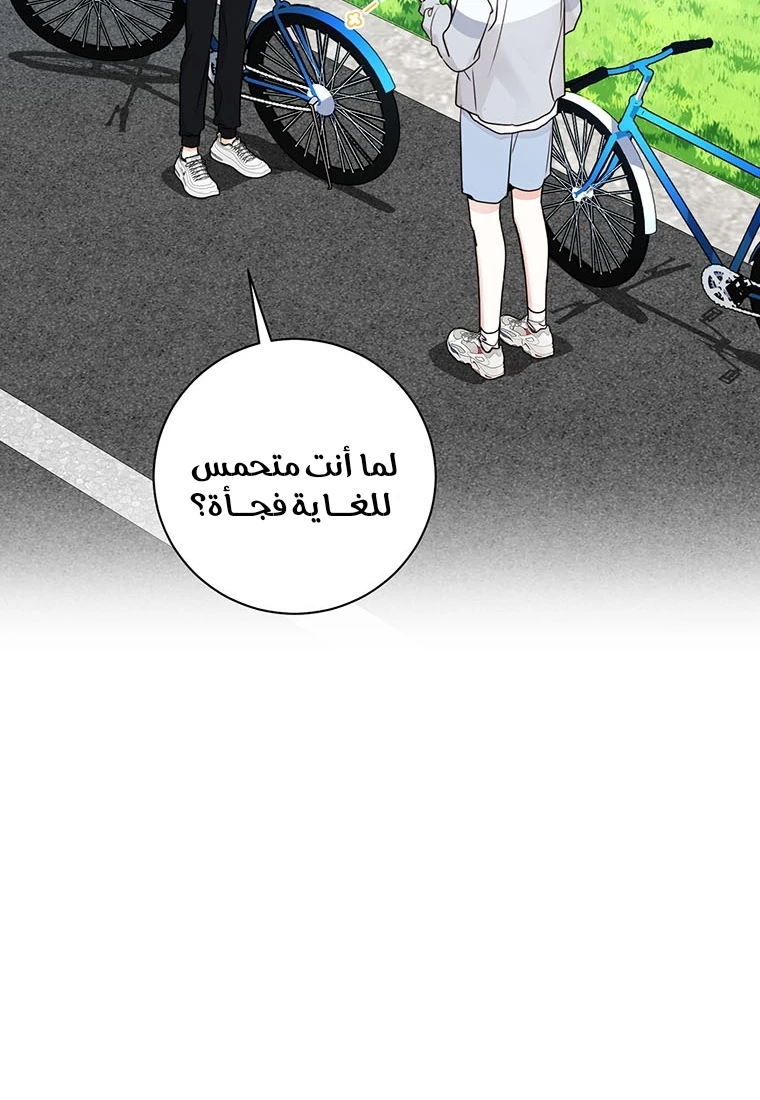 الصفحة 41