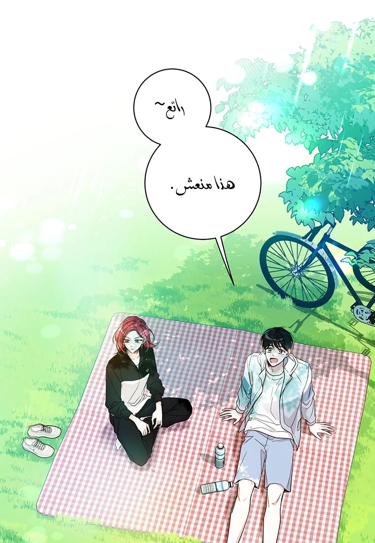 الصفحة 43