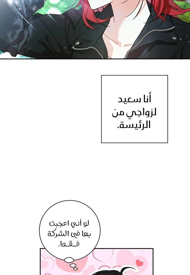 الصفحة 46